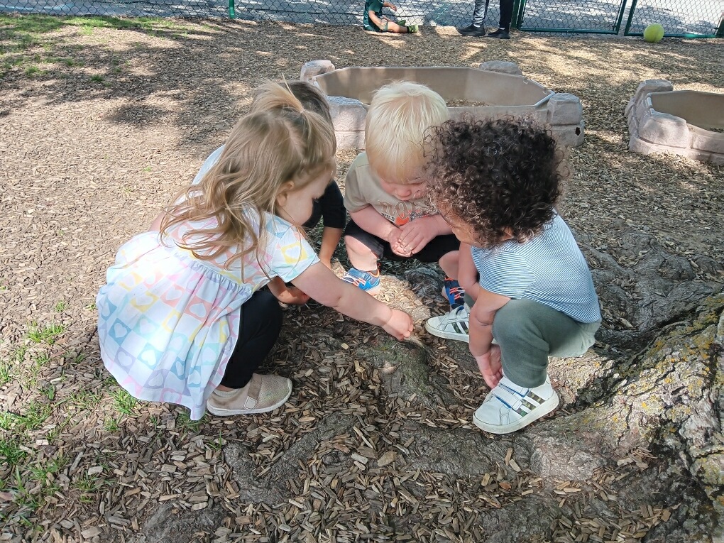 Children exploring nature